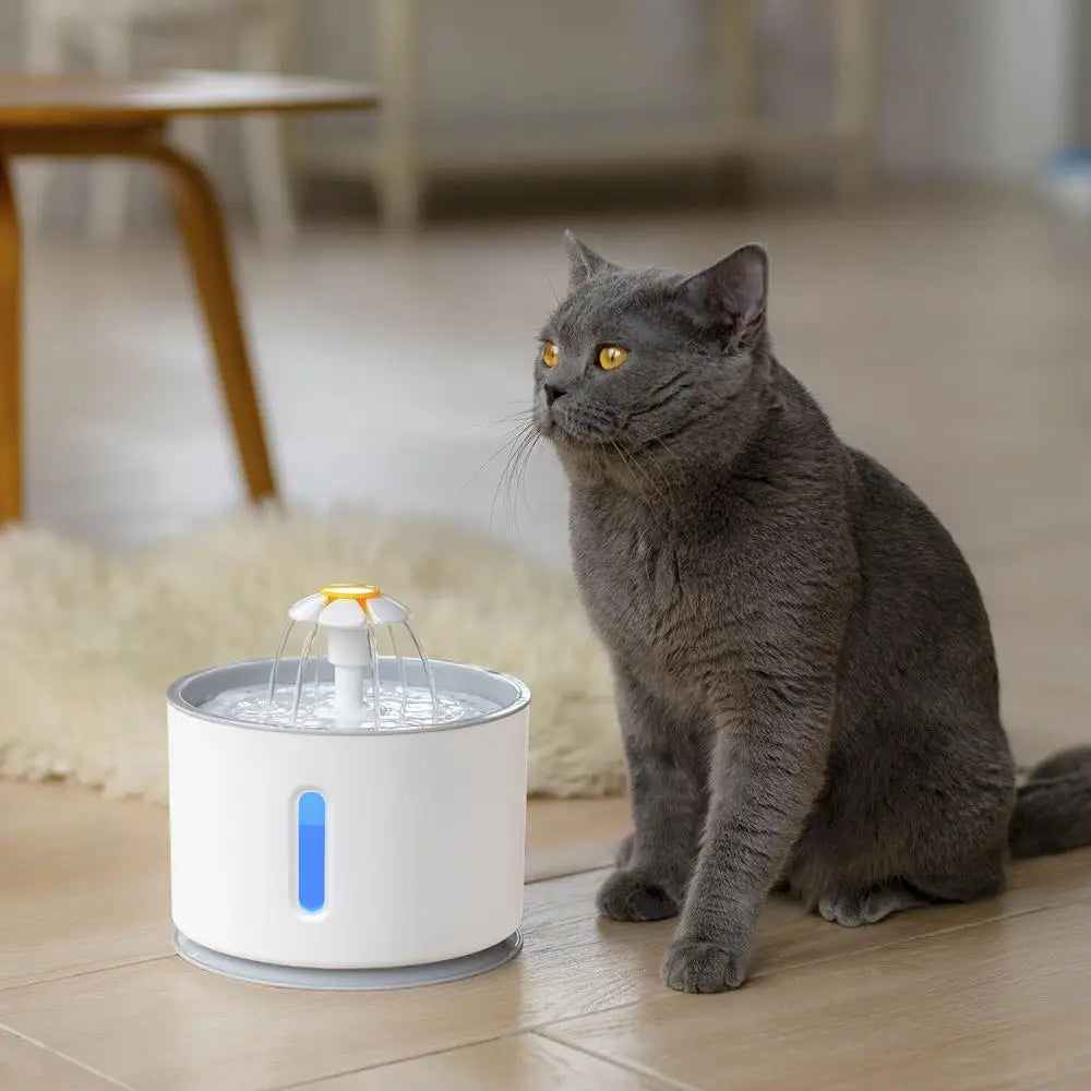 Automatic Cat Water Fountain With LED Lighting USB Feeder