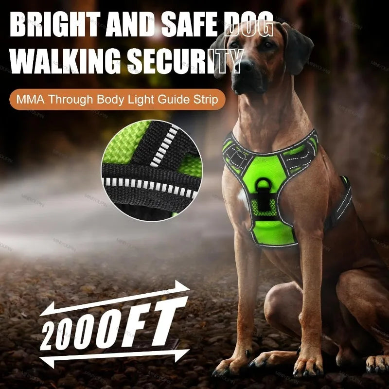 LED Dog Harness with Three Light Modes Rechargeable