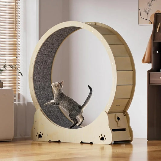 Large Cat Exercise Wheel 40 Inch Natural Solid Wood Indoor