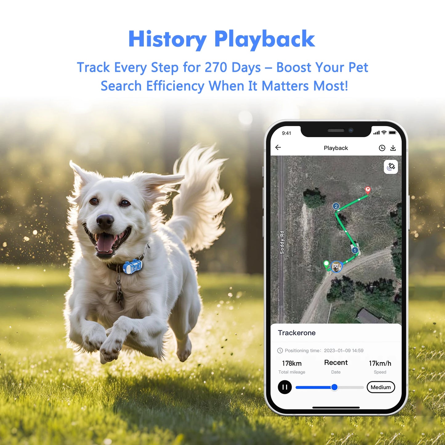 Wanwaytech 4G Pet GPS Tracker Waterproof With Live Tracking
