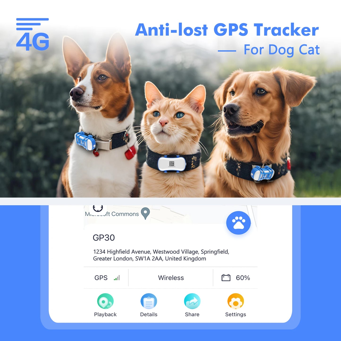 Wanwaytech 4G Pet GPS Tracker Waterproof With Live Tracking