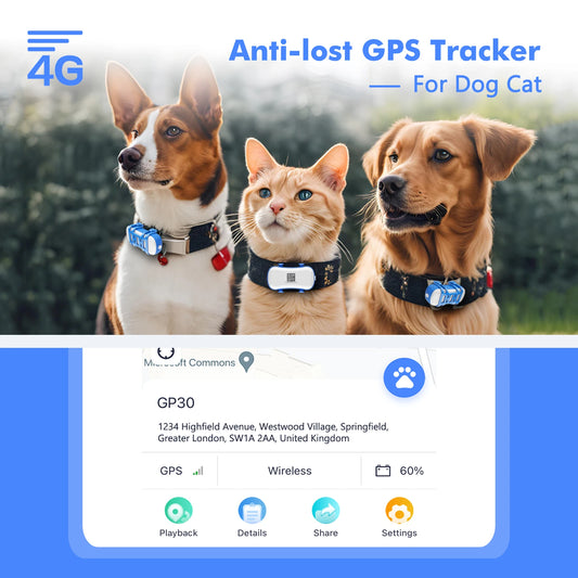 Wanwaytech 4G Pet GPS Tracker Waterproof With Live Tracking