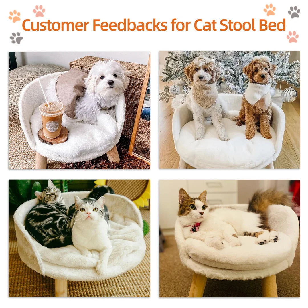 Guangdong Luxury Cat Bed Plush Nesting Chair With Cushion