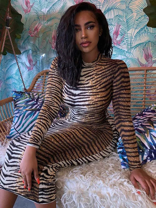 Leopard Print Long Sleeve Bodycon Dress For Women Party