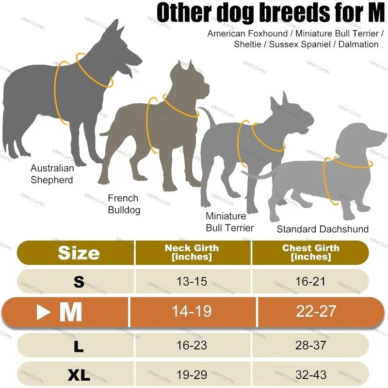 LED Dog Harness with Three Light Modes Rechargeable