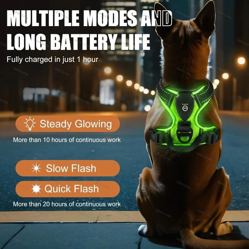 LED Dog Harness with Three Light Modes Rechargeable